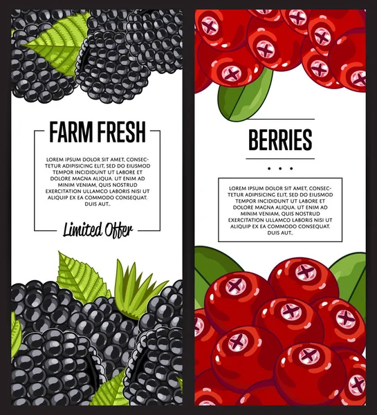 Βιολογικό Φυλλάδιο Αγρόκτημα Cranberry Και Blackberry Διανυσματική Απεικόνιση Φυσικό Ζουμερό — Διανυσματικό Αρχείο