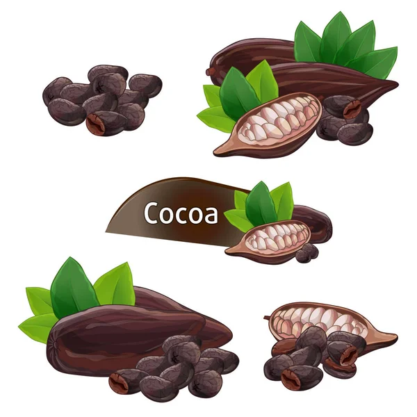 緑の葉を持つココアポッドと豆は白い背景ベクトルイラストに隔離されています チョコレートデザート成分 ココアパウダー成分 ココアポッド 種子または豆全体とシェルコレクション — ストックベクタ