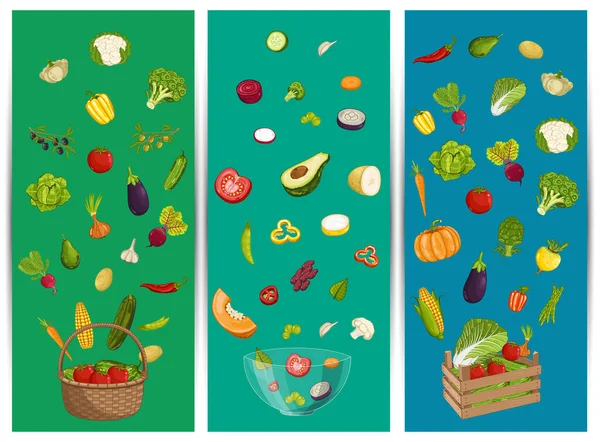 Organic Farm Food Flyer Set Vector Illustration Colheita Natural Fresca — Vetor de Stock