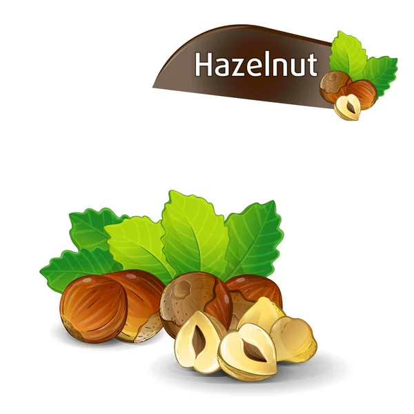 緑の葉を持つヘーゼルナッツカーネルは白い背景ベクトル図上に孤立している 有機食品成分 伝統的なベジタリアンスナック ヘーゼルナッツの種 フィルバートの実 ヘーゼル セット — ストックベクタ
