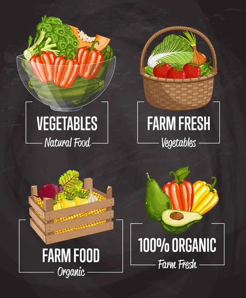 Organic Farm Harvest Set Vector Illustration Fresh Natural Vegetable Organic — Stock Vector