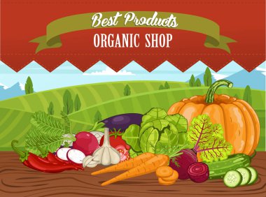 Ahşap masa temsilciliğinde sebzeli organik mağaza afişi. Doğal gıda, organik tarım perakendecisi, vejetaryen ürün mağazası posteri. Domates, balkabağı, sarımsak, patlıcan içeren organik dükkan konsepti