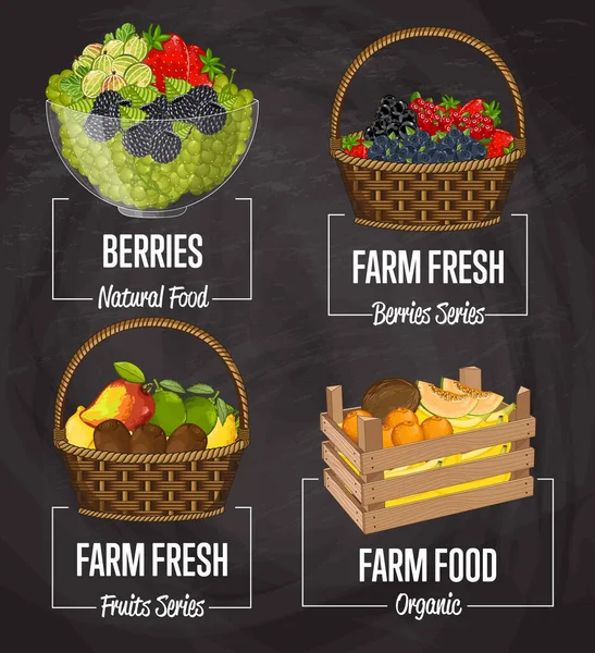 Vektorillustration Für Bio Bauernfrüchte Natürliches Obst Biologischer Landbau Veganer Lebensmittelladen — Stockvektor