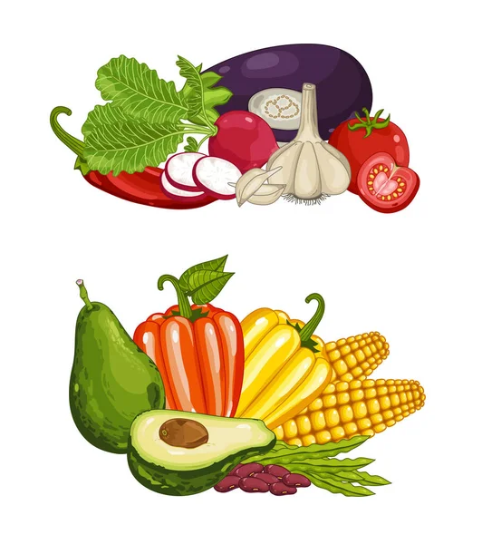 Composição Vegetal Orgânica Fresca Ilustração Vetorial Isolada Alimentos Cultivados Localmente — Vetor de Stock