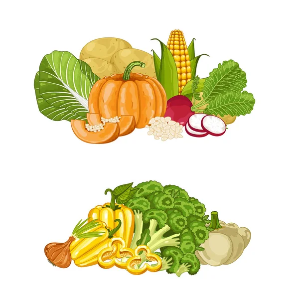 新鲜有机蔬菜成分分离载体说明 本地种植的食物 素食营养 有机健康饮食 天然蔬菜 配以乳酪 西兰花 — 图库矢量图片