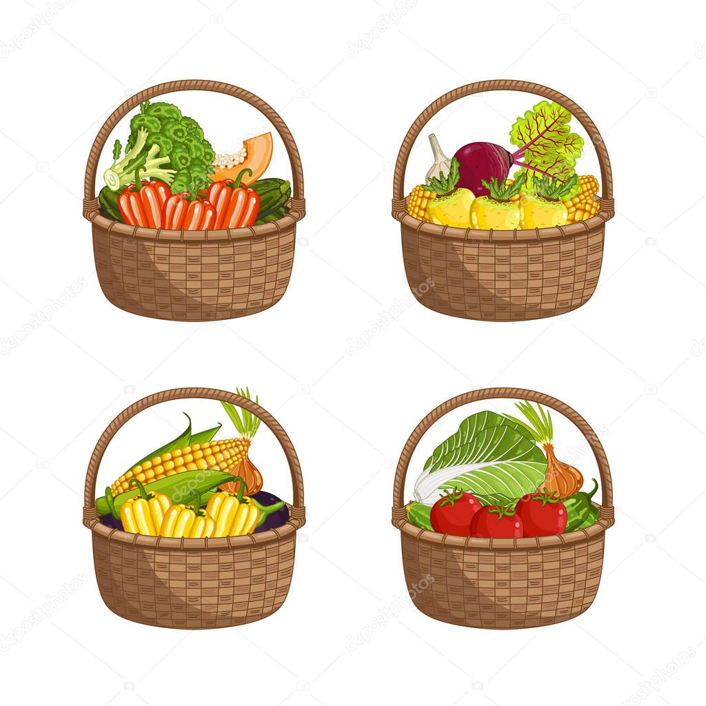 Fresh organic vegetable in wicker basket set isolated vector illustration. Eco farming, vegetarian nutrition, organic healthy diet, vegan retail. Broccoli, peppers, onions, eggplant, cabbage in basket