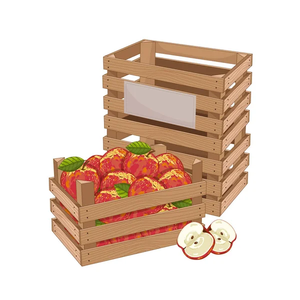 木箱，装满了苹果分离载体 — 图库矢量图片