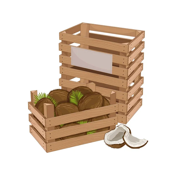 Scatola di legno piena di vettore isolato di cocco — Vettoriale Stock