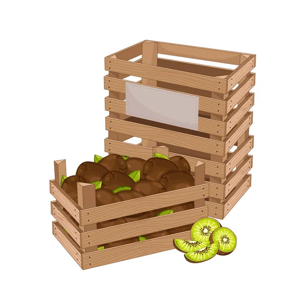 Scatola di legno piena di vettore isolato kiwi — Vettoriale Stock