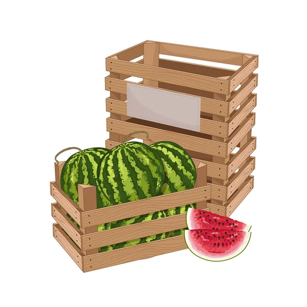 Holzkiste voller Wassermelonen isolierter Vektor — Stockvektor