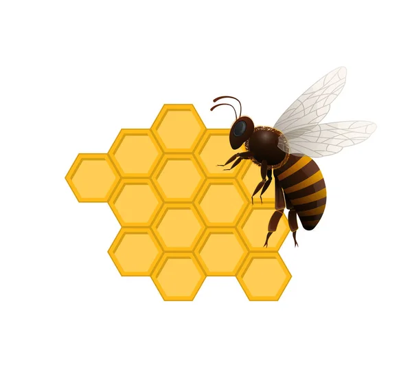 Doğal tatlı lezzet sembolü ile bal arısı — Stok Vektör