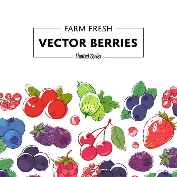 Poster ritel berry segar dan juicy - Stok Vektor