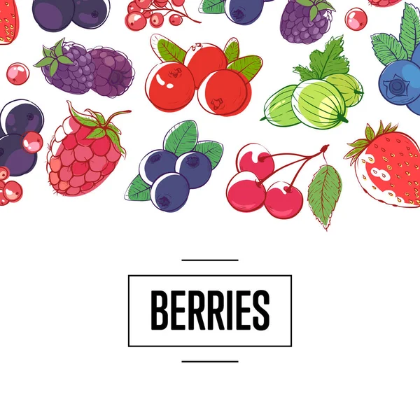 Fresh berries retail vector illustration — Stock Vector