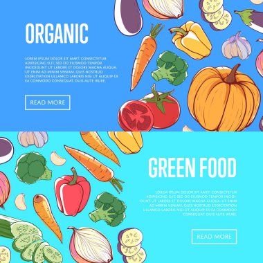 Sebzeli sağlıklı yiyecek broşürleri.