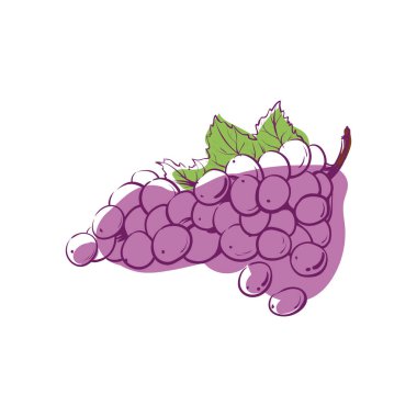 Olgun üzüm sürüsü izole edilmiş vektör simgesi
