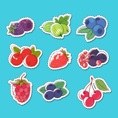 Taze ve sulu meyveler izole edilmiş etiketler.