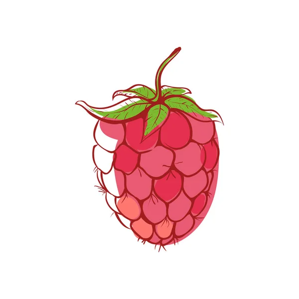 Icône vectorielle isolée framboise mûre — Image vectorielle