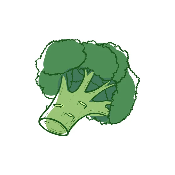 Germogli di broccoli maturi icona vettoriale isolata — Vettoriale Stock