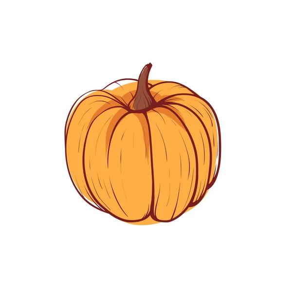 Ripe pumpkin isolated vector icon — Stock Vector