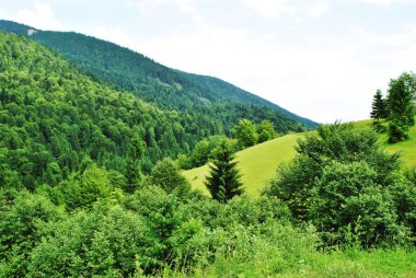 dağların ve ormanların güzel bir manzara