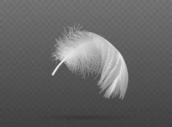 Light Falling White Bird Feather Vector — Stock Vector
