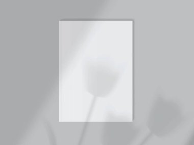 Camdaki gölgeler ve laleler beyaz boş bir dergiye düşer.