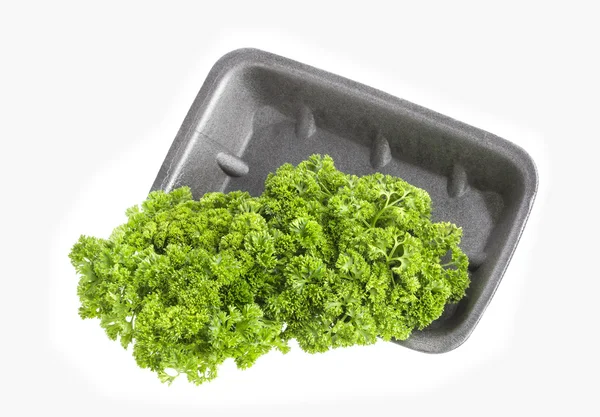 Parsley in plastic box or plate isolated on white background — Stock Photo, Image