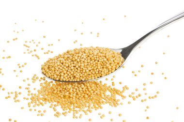 Kaşık izole kırpma yolu ile beyaz zemin üzerine sarı hardal tohumu