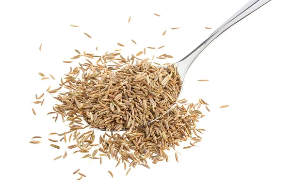 Cumin seeds or caraway in spoon isolated on white background — Stock Photo, Image