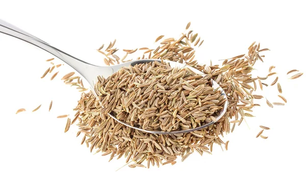 Cumin seeds or caraway in spoon isolated on white background — Stock Photo, Image