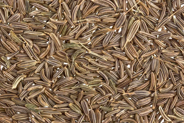 Cumin seeds or caraway texture — Stock Photo, Image