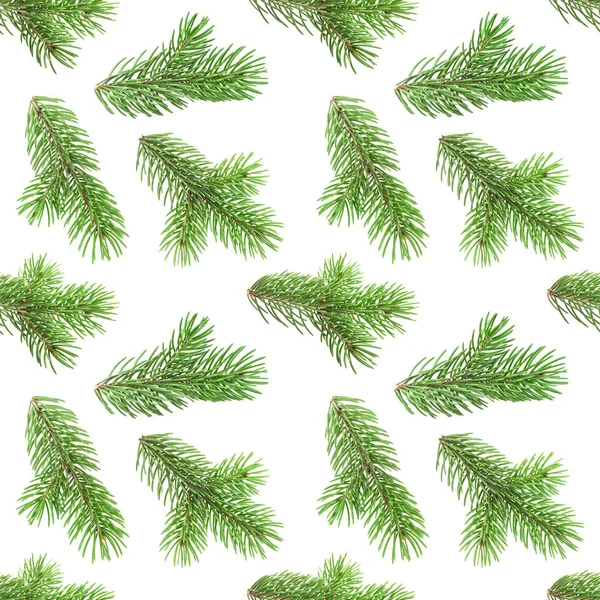 Seamless pattern of fir tree branches isolated on white background, with clipping path — Stock Photo, Image