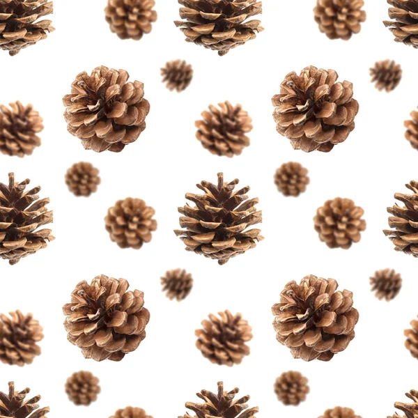 Conos de pino patrón inconsútil aislado sobre fondo blanco, con ruta de recorte —  Fotos de Stock