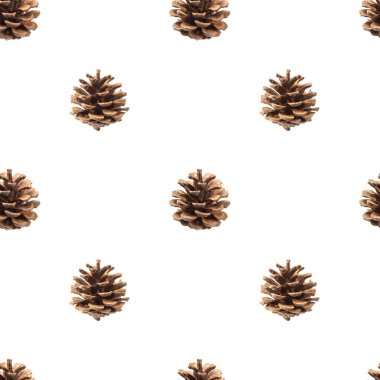 Köknar Dikişsiz desen kırpma yolu ile beyaz arka plan üzerinde izole konisi