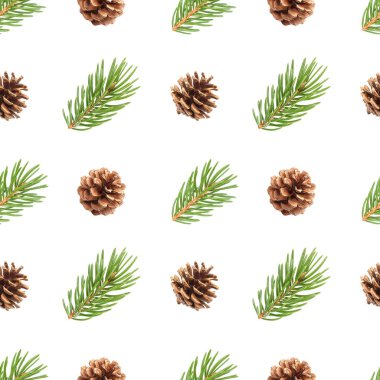 Köknar ağacı dalı ve çam konileri Dikişsiz desen beyaz arka plan üzerinde izole