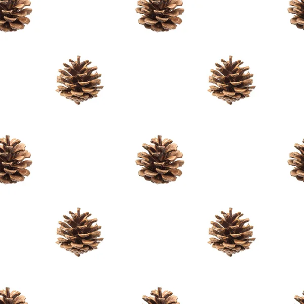 전나무 콘 클리핑 경로와 흰색 배경에 고립 된 완벽 한 패턴 — 스톡 사진
