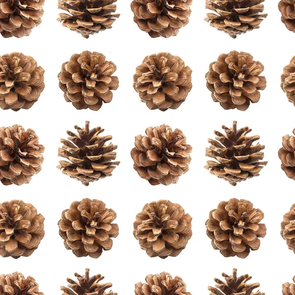 Cones de pinheiro sem costura padrão isolado no fundo branco, com caminho de recorte — Fotografia de Stock