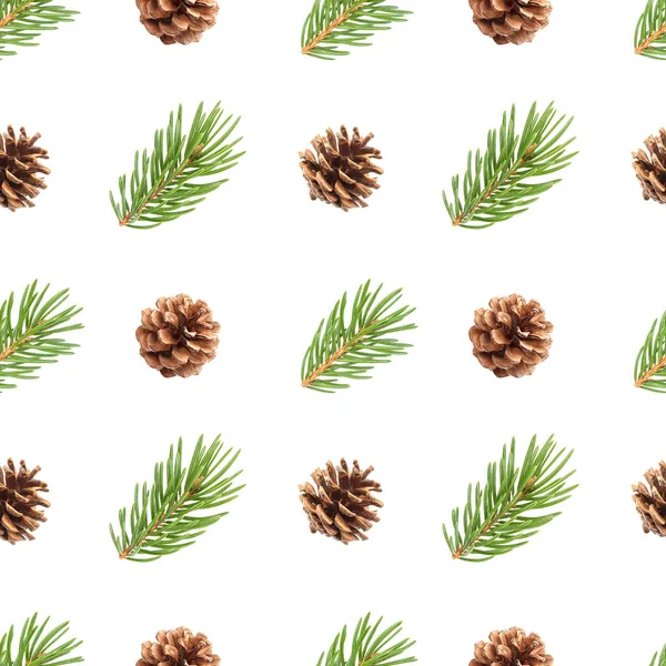 전나무 나무 가지와 소나무 콘 흰색 배경에 고립 된 완벽 한 패턴 — 스톡 사진