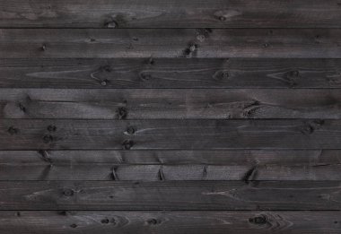 Kara Orman Arkaplanı