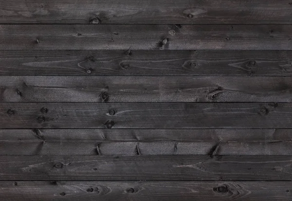 Kara Orman Arkaplanı