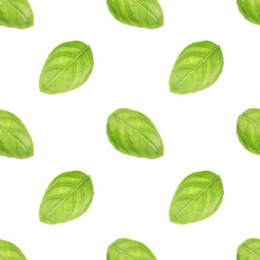 Fesleğen yaprak seamless modeli