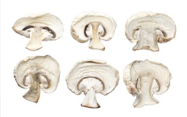 Beyaz arka planda izole edilmiş kurutulmuş mantarlar.