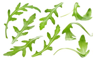 Ruccola yaprak üzerinde izole beyaz arka plan, koleksiyon tek yeşil roka yaprakları