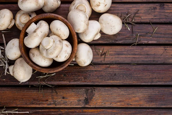 Koyu ahşap arka plan üzerinde kahverengi kase taze beyaz mantar champignon. Üstten Görünüm. Kopya alanı.