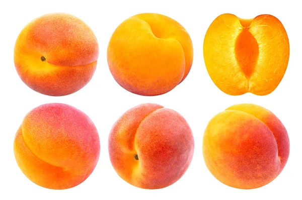 Aprikose isoliert. Sammlung von ganzen und geschnittenen Aprikosen isoliert auf weißem Hintergrund mit Schnittpfad — Stockfoto