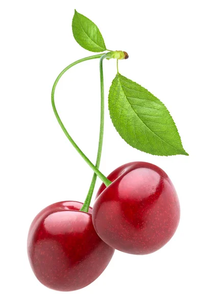 Cherry diisolasi pada latar belakang putih — Stok Foto