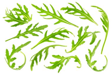 Rucola veya roka izole üzerinde beyaz arka plan bırakır. Büyük koleksiyon