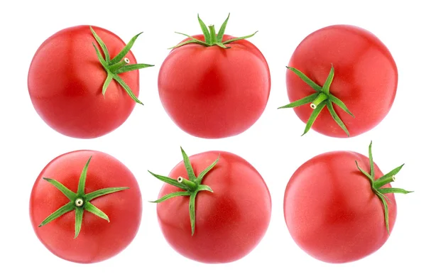 Tomaten isoliert. ganze Tomaten auf weißem Hintergrund, große Sammlung — Stockfoto