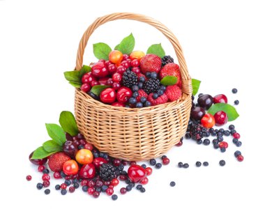 Sepette Beyaz izole çeşitli orman meyveleri