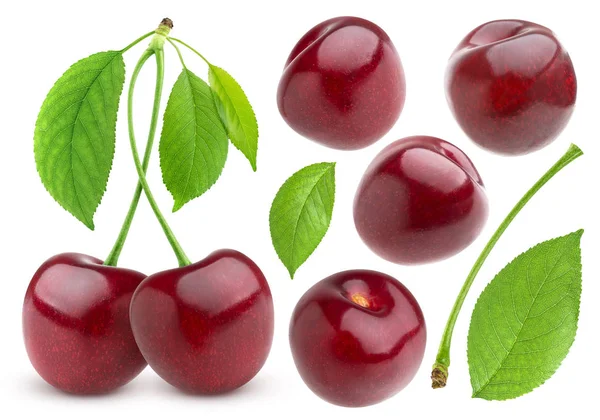 Cherry terisolasi pada latar belakang putih. Koleksi ceri — Stok Foto